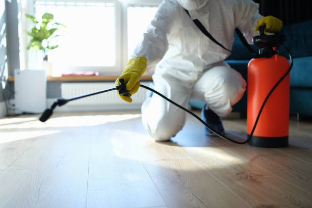 Trusted Sewage Cleanup service in Springfield, NJ - Four Month Blood Cleanse